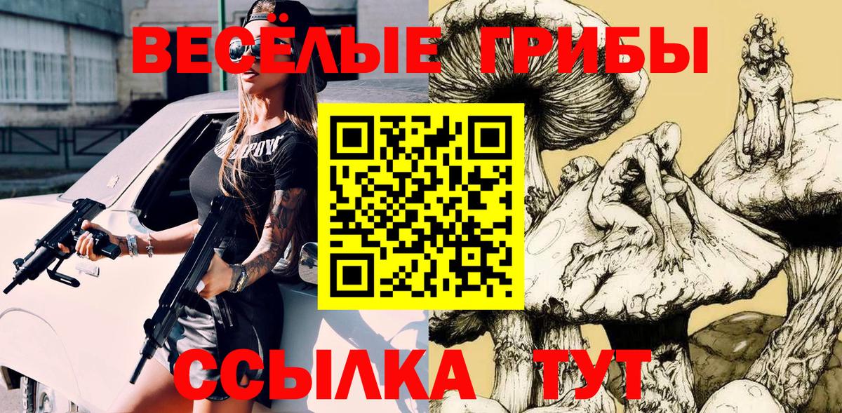 дарнет шоп  Псилоцибиновые грибы мухоморы  Вход с VPN  Галлюциногенные грибы Magic Shrooms  Сосновый Бор 